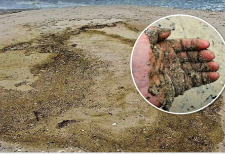 В Одесском районе Черного моря зафиксировали новые маслянистые пятна на воде: какая причина