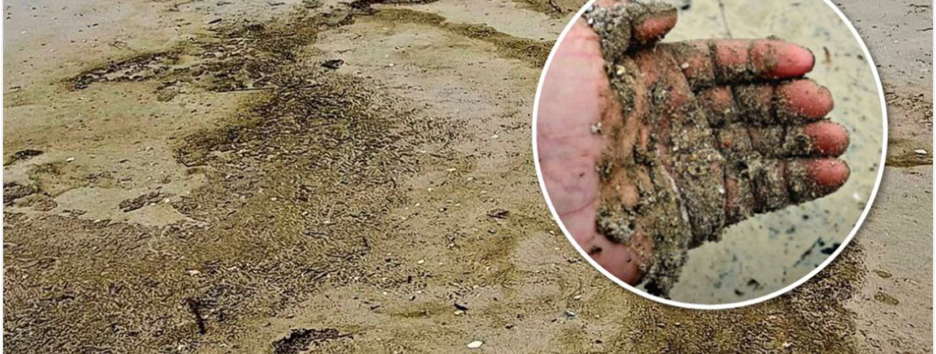 В Одесском районе Черного моря зафиксировали новые маслянистые пятна на воде: какая причина