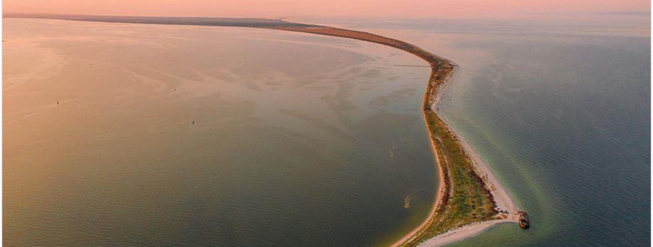 В НАН оценили ущерб для природоохранных территорий в результате российской агрессии