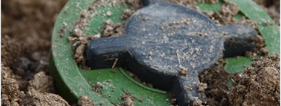 Польща оголосила про вихід з Оттавської конвенції, яка забороняє протипіхотні міни