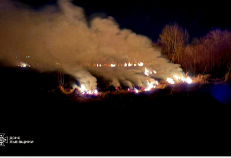 В Украине за сутки произошло 210 пожаров сухостоя — ГСЧС