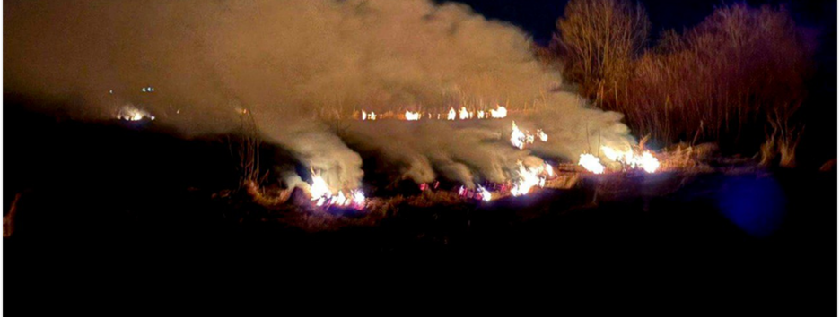 В Украине за сутки произошло 210 пожаров сухостоя — ГСЧС