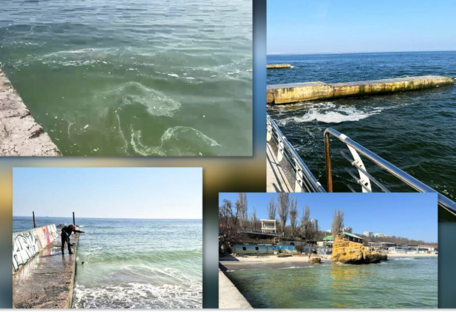В Одессе зафиксировали значительное загрязнение морской воды жирами и маслами