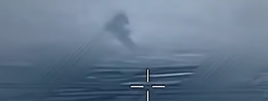 В ВСУ показали последствия поражения российского Су-35 (видео)