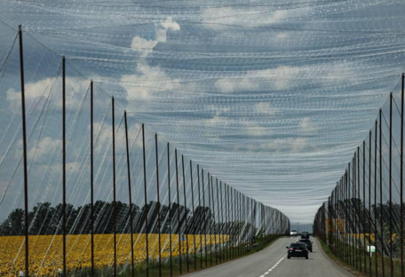 В Украине с начала года обустроили более 1180 км антидроновой защиты дорог - Минобороны