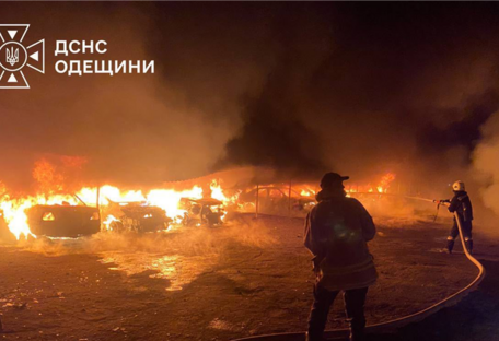 На Одещині ворог пошкодив притулок для тварин: одна собака загинула