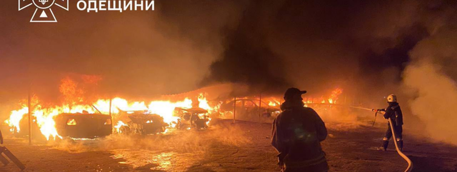 В Одесской области враг повредил приют для животных: одна собака погибла