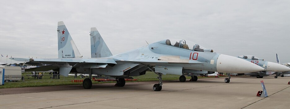 Російський Су-30 розбився в Калінінградській області РФ (відео)