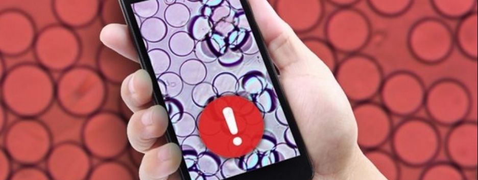 В США разработали простой тест для определения качества продуктов