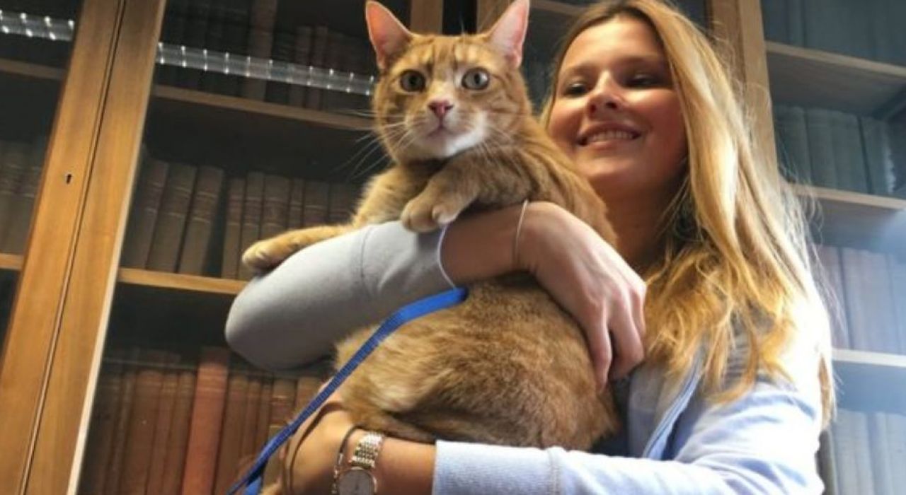 В Кембридже кот спасает студентов от депрессии перед экзаменами