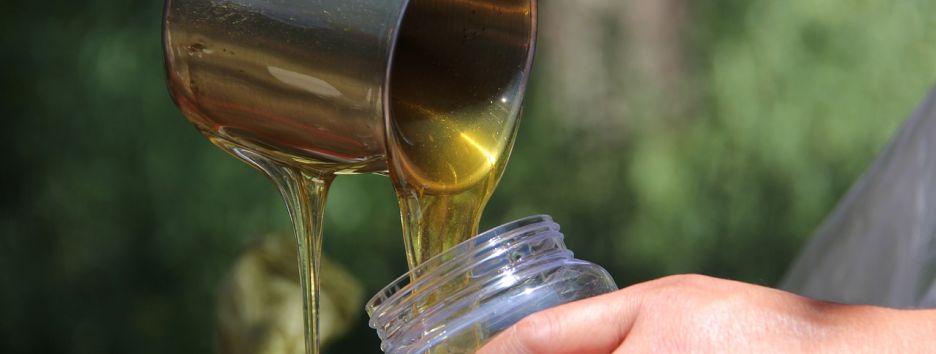 США значительно увеличили импорт украинского меда