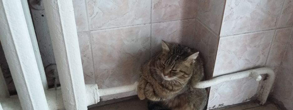 Будет ли зима холодной