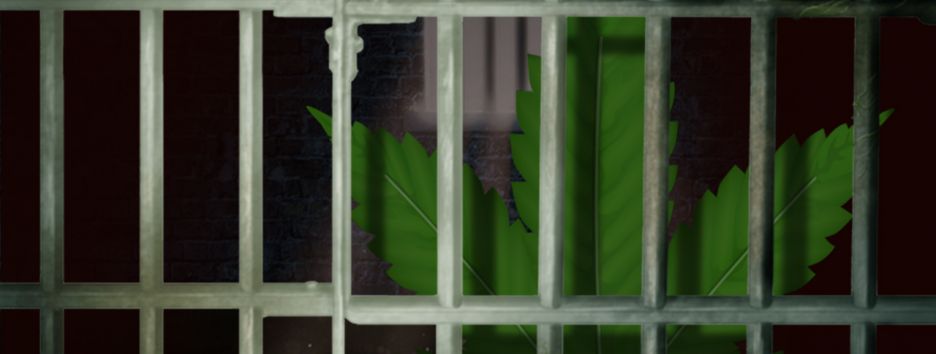 Конопляный марш возвращается в Украину: зачем каннабису права