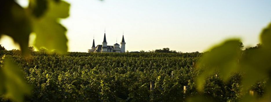 Как выглядит винный Диснейленд в Китае