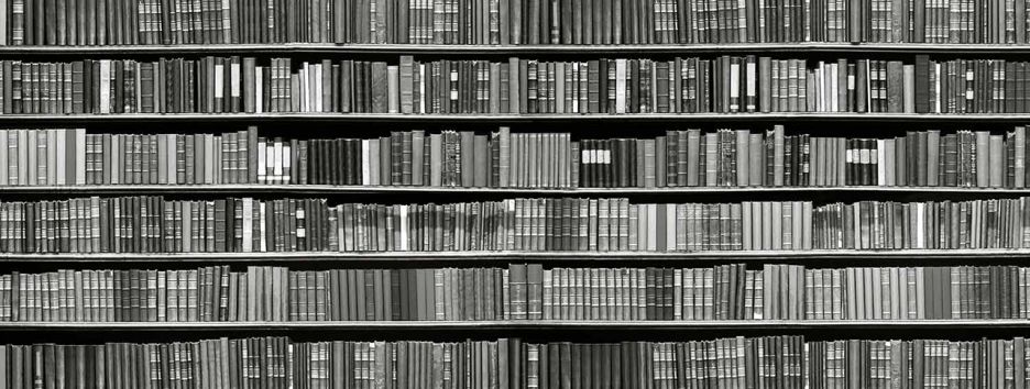 Что почитать: советы Софии Андрухович и Сергея Жадана