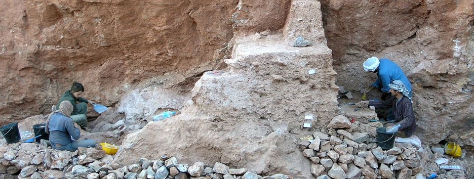 Homo sapiens появился на 100 тыс. лет раньше, чем считалось ранее