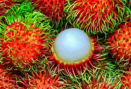 Топ-10 экзотических фруктов, которые стоит попробовать украинцам