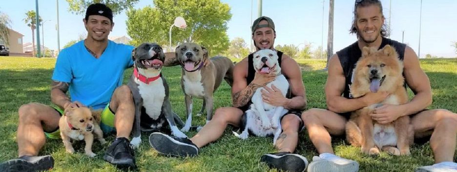 В Instagram запустили флешмоб «Приседай со своей собакой»