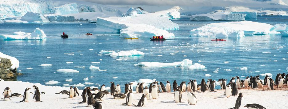 В Антарктиде нашли картину, которой 118 лет