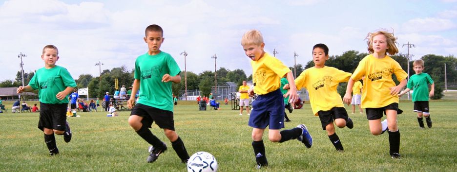 Спорт в городе вредит детям