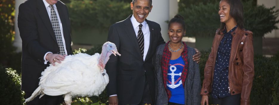 Трамп приказал казнить 5 индеек, помилованных Обамой