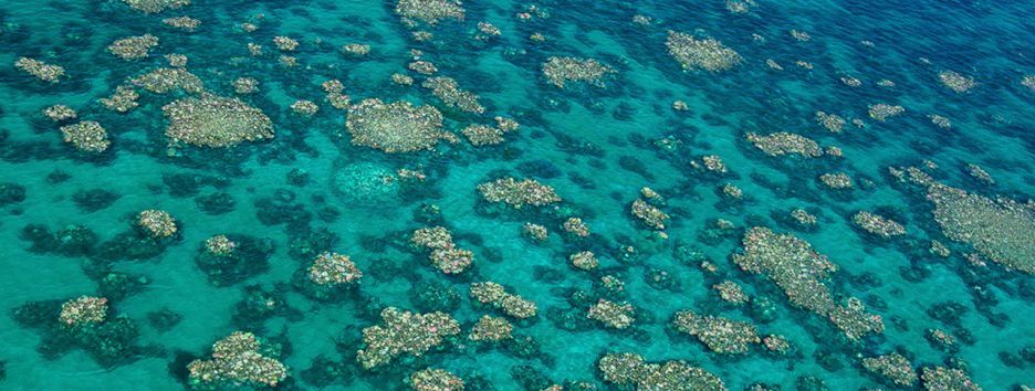 Как глобальное потепление разрушает экономику Австралии