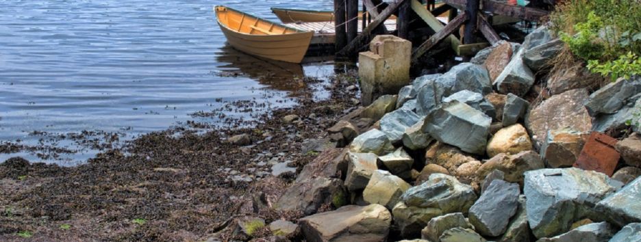 В сети набирает популярности умилительный флешмоб «Найди кота»