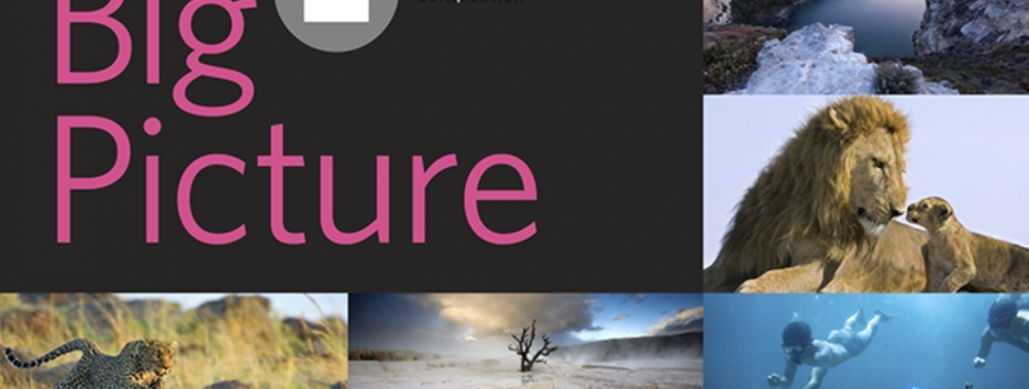 Фотоконкурс дикой природы BigPicture объявил имена победителей