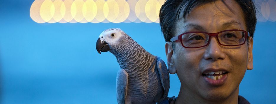 Как Китай завоевывает Африку