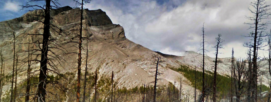 В Google нейросеть научили 