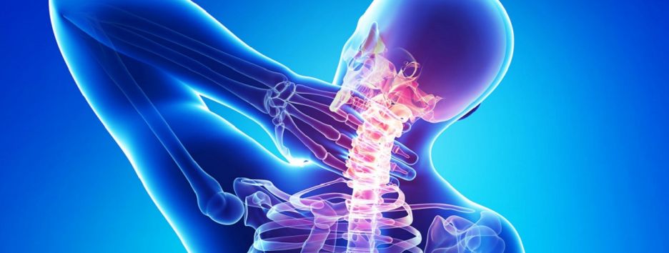 В Китае хирурги заменили пациенту позвонки 3D-имплантами