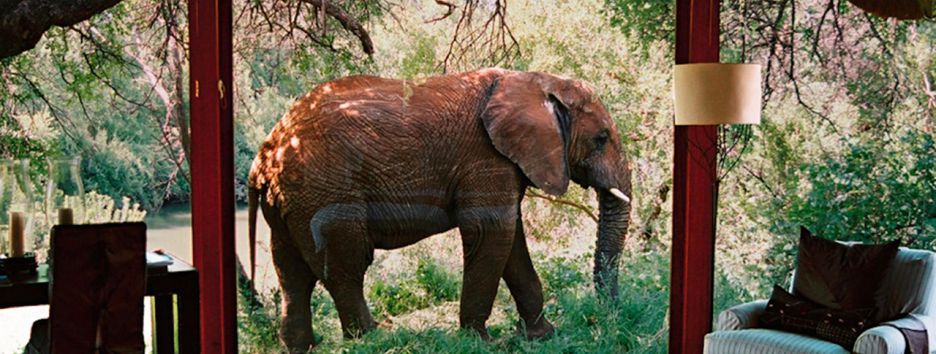 «Дикая» торговля