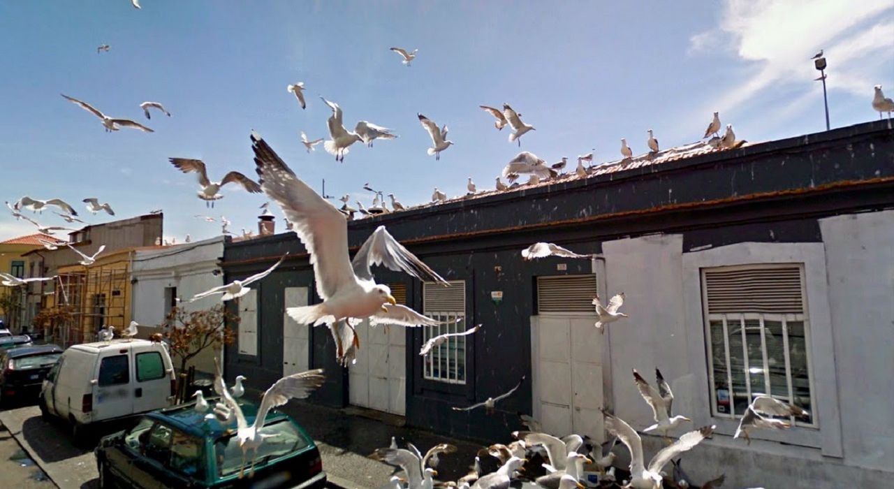 Топ-15 самых странных моментов на Google Street View