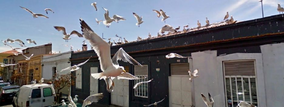 Топ-15 самых странных моментов на Google Street View