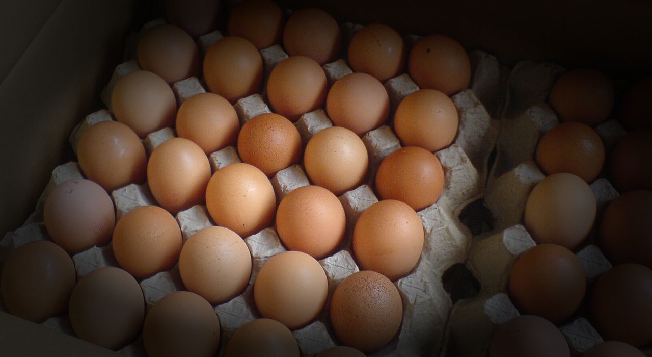 Картель с яйцами. Почему взлетели цены на продукцию птицефабрик