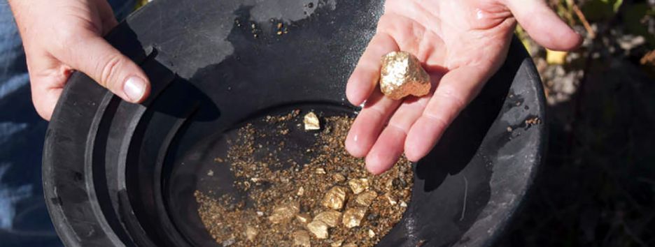 Виртуальная лихорадка: почему криптоинвесторы не боятся государства