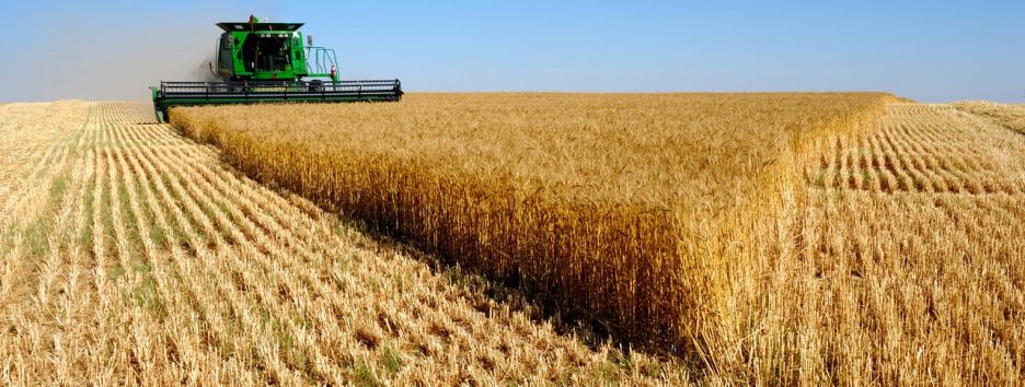 Роботы впервые сами засеяли и собрали урожай