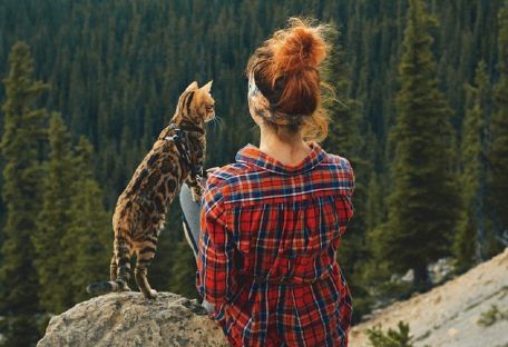 Бенгальский кот из Канады покоряет озера и горы