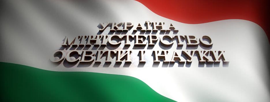 Что показал язык. Почему протестуют соседи Украины