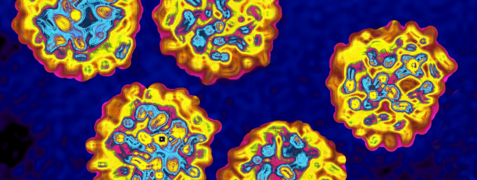 ВОЗ назвала самую смертоносную инфекцию в мире