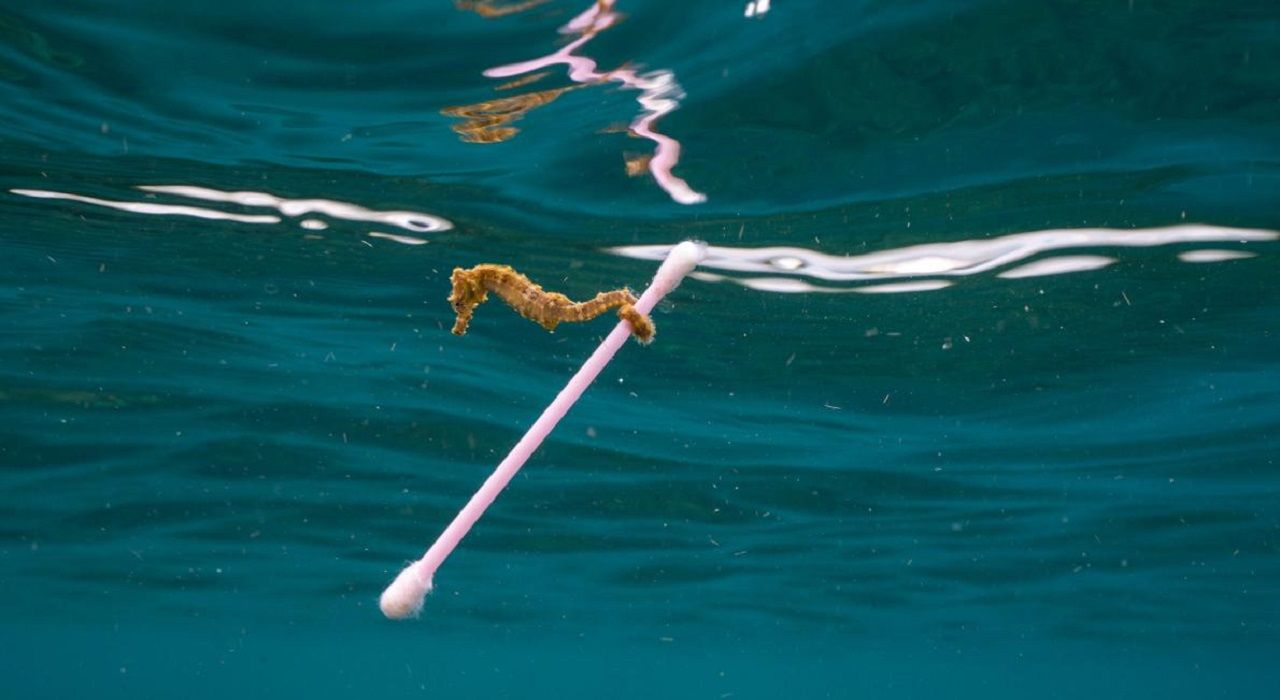 Фотограф одним снимком показал масштаб проблемы загрязнения океанов