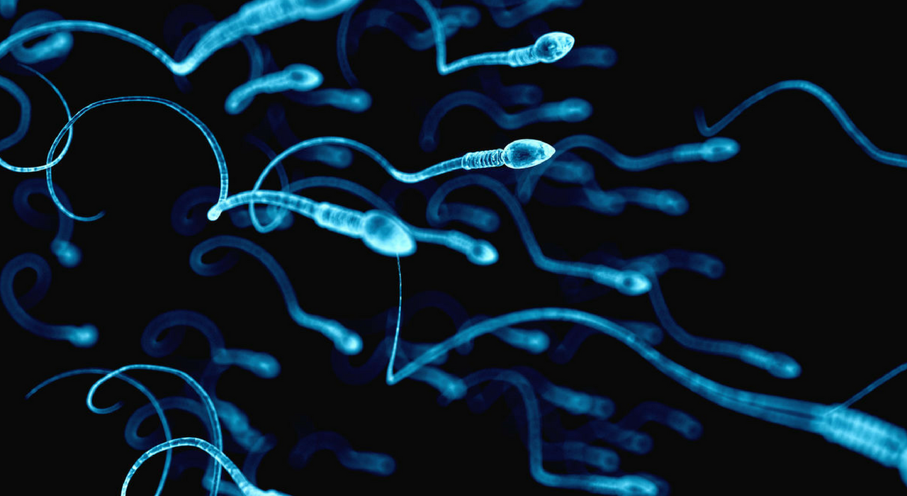 В сперме живет больше вирусов, чем вы думали