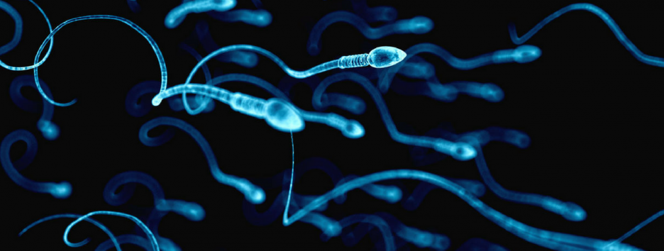 В сперме живет больше вирусов, чем вы думали