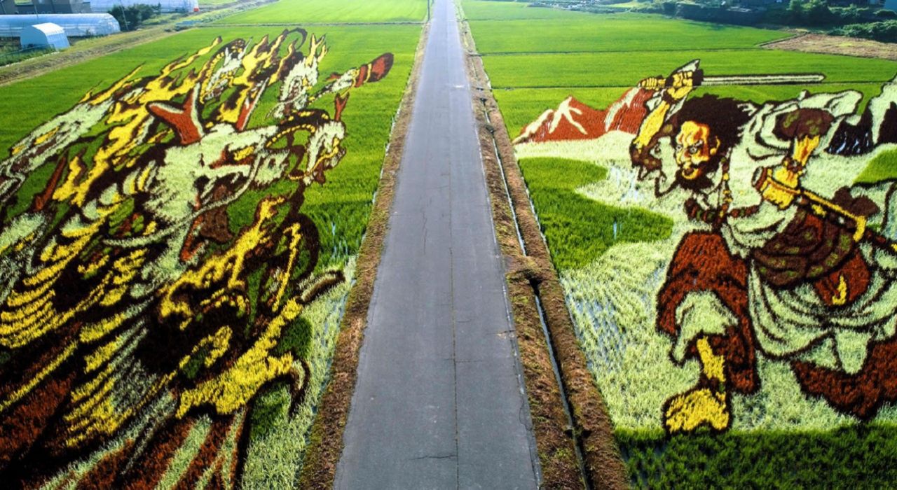 Рисовые поля в Японии превращают в произведения искусства