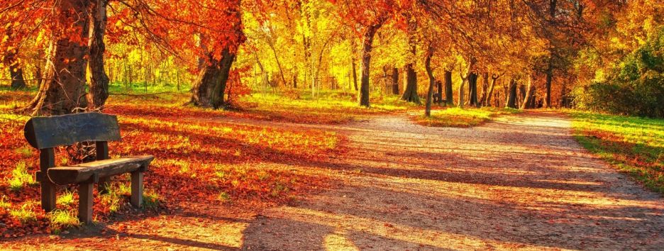 Похолодание, заморозки и дожди: прогноз погоды на неделю