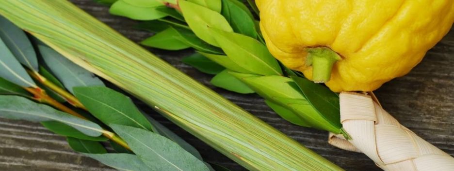 Суккот 2017: важный праздник еврейского народа