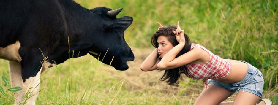 Под Уманью пастух с гранатометом пас коров