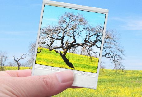 В США создали умный чехол Polaroid для смартфона