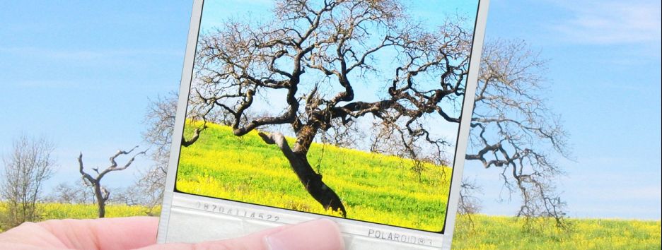В США создали умный чехол Polaroid для смартфона