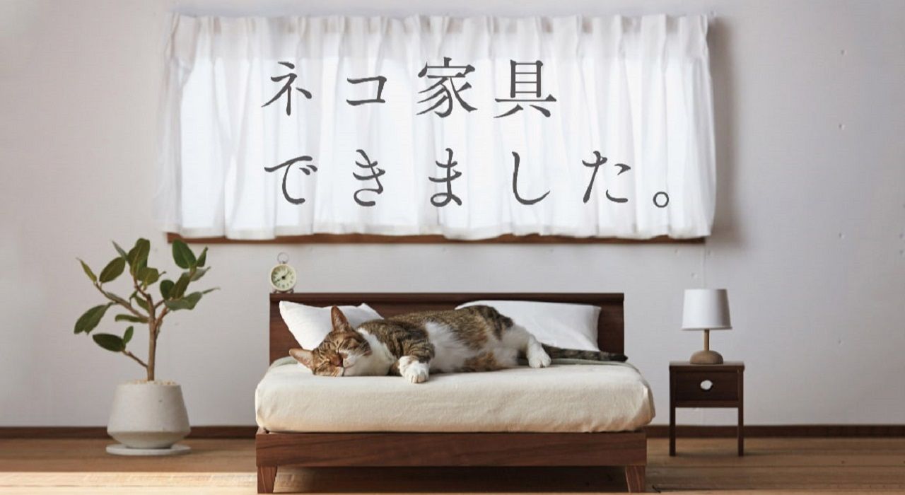 Японские дизайнеры разработали строгую коллекцию мебели для котов